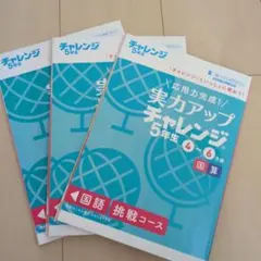 【新品未使用まとめ売り】チャレンジ 5年生 4から10月号一式 新品未使用まとめ売り】チャレンジ 5年生 4から10月号一式 新品未