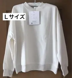 Item thumbnail for item 6e64bea2-64d9-4a99-8647-32f46ce98863