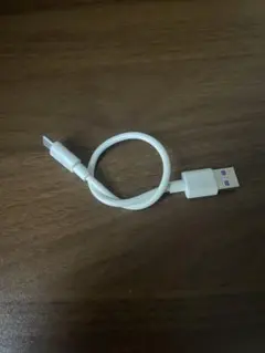 USB Type-C 充電ケーブル ホワイト 短め