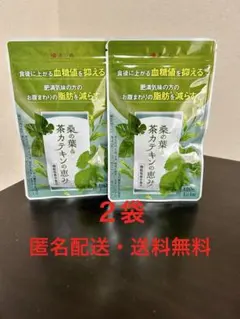桑の葉＆茶カテキンの恵み 120粒×3袋未開封 和漢の森 桑の葉＆茶カテキンの恵み 120粒 ダイエット サプリメント