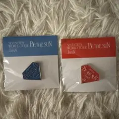 SEVENTEEN セブチ BETHESUN JAPAN 愛知 大阪 ピンバッジ