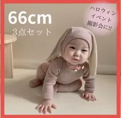 中秋の名月フォト　3点セット