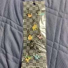 ポケモン　メタルチャーム 全国ずかん ブイズ