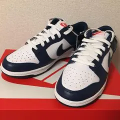 ナイキ ダンク ロー バレリアンブルー Valerian Blue 28.5cm