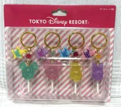 ディズニー　東京ディズニーリゾート　キーチェーン 4種