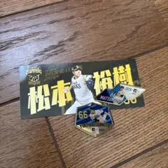 大谷翔平 日ハム 使用済 チケット ファイターズ 2017 5 21 - メルカリ