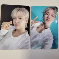 SEVENTEEN STF 封入 ホシ