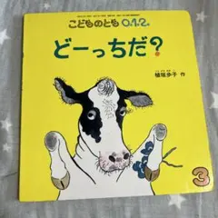 H RIKA様 リクエスト 6点 まとめ商品