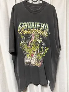 FOUQUIERIA FASCICULATA TEE XL
