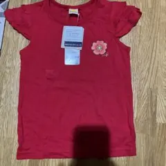 Item thumbnail for item 185d123b-2f43-43eb-a138-4e26bcaf7c36