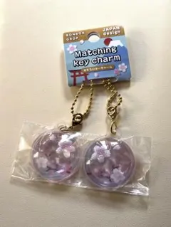 Item thumbnail for item ec9a7227-51d1-4b38-8ff7-7e3f37a8eb7b