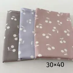 ハンドメイド　30×40 ランチョンマット３枚セット　小学校　幼稚園　女の子