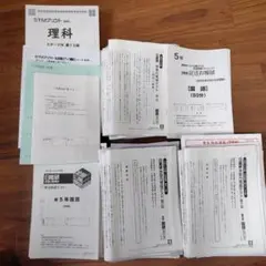 2020年度5年日能研育成テスト 2026年最新】日能研 育成テスト 5年の人気アイテム - メルカリ