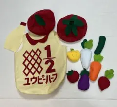 ハーフバースデー 衣装セット ユウピーハーフ ロンパース＆小物 キューピーハーフ