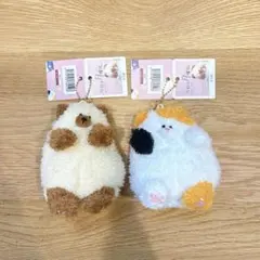 【即日発送❣️】今日は月曜日 ねこのきぶん しゃむねこ　みけねこのサムネイル