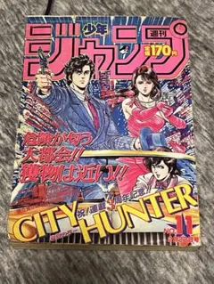 美品【週刊少年ジャンプ1991年15号】ドラゴンボール スーパーサイヤ人