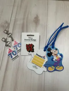 限定 貴重 Disneyカルフォルニア ディズニーランド コンパス ピンバッジ 限定 貴重 Disneyカルフォルニア ディズニーランド コンパス