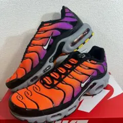 29cmNIKE ナイキ ウィメンズ エアマックスプラスDM0032-014
