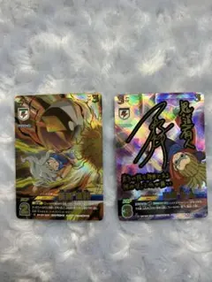 Item thumbnail for item 794eb889-42f2-4de6-828e-b6dbc9dc5211