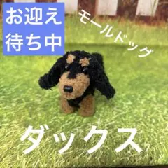 モールドッグ　胴長ダックスちゃんのサムネイル