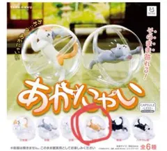 あかにゃい 茶猫 カプセルトイ ガチャガチャ