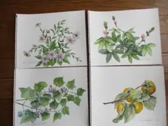 Nyannpy様 リクエスト 3点 まとめ商品