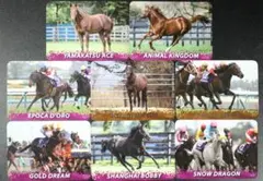 2026年最新】トレジャーホースカードの人気アイテム - メルカリ