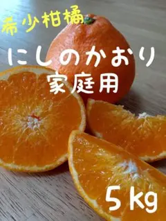 92にしのかおり 西の香 みかん 家庭用 ５㎏