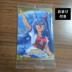 ウマ娘 ツインウエハース 第4R SR ヒシアマゾン