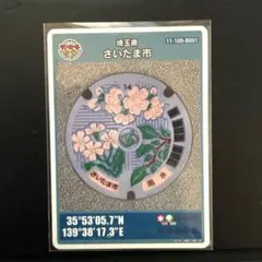 Item thumbnail for item 4396c47c-e0fa-481d-8407-663de606e519