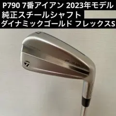 P790 2023年モデル　アイアンセット ダイナミックゴールド フレックスS 2025年最新】p790 アイアン 2023 ダイナミックゴールドの人気