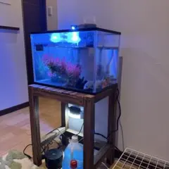 KOTOBUKI ガラス水槽 AQUARIST セット - メルカリ
