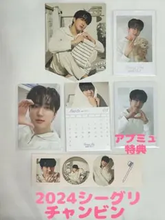 スキズ　シーグリ2024 チャンビン