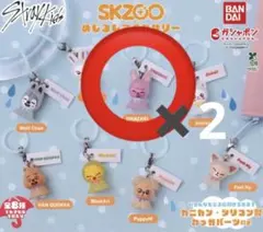 SKZOO めじるしアクセサリー　DWAEKKI