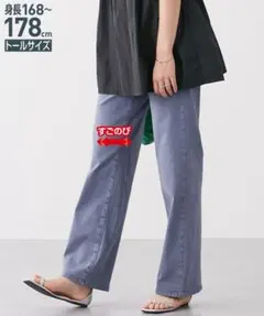 高身長　ヴィンテージ風カラーワイドパンツ　（トールサイズ）