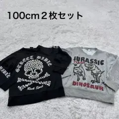 男の子　トレーナー 100cm セットトップス　長袖　恐竜　ガイコツ　黒　グレー