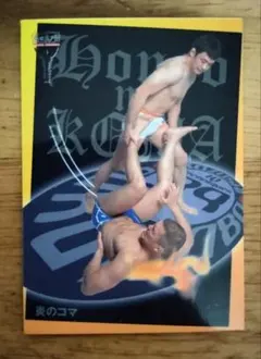 Item thumbnail for item 3f760d50-f6a5-4eed-9b8f-bf9ed4624787