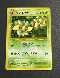 2025年最新】キレイハナ 旧の人気アイテム - メルカリ