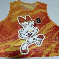 ポケモン サッカー JFA ビブス ヒコザル - メルカリ