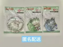 Dr.STONE 石神千空 メカ千空 ぷちった 缶バッジ アクリルBC