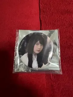 日向坂46 佐藤優羽【ひなたフェス2026】缶バッジ　レア 日向坂46 佐藤優羽 缶バッジ ひなたフェス2026 ノーマル - メルカリ