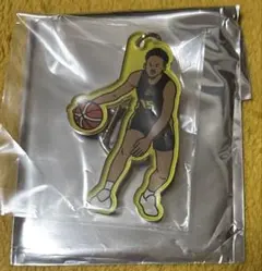 群馬クレインサンダーズ　アクリルキーホルダー　#15エージェー・エドゥ選手