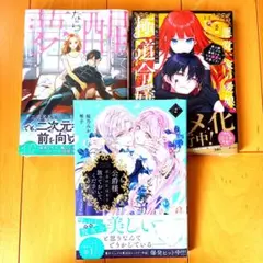 ◎11月新刊◎ꕤ୭*専用出品④܀ꕤ୭*