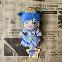 ふしぎ星のふたご姫 ぬいぐるみ レイン ふしぎ星のふたご姫 レイン 20cm 着せ替えぬいぐるみ 本体の通販