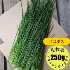 Item thumbnail for item a9a4ea9f-03a3-44ac-ac93-4c14c9ccff3e