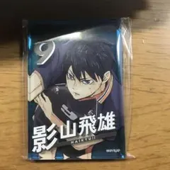 ハイキュー　影山飛雄　アクリルブロック