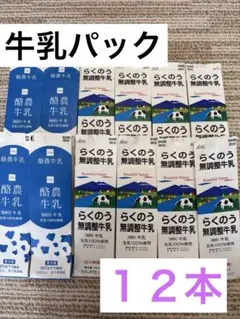 牛乳パック 12本セット