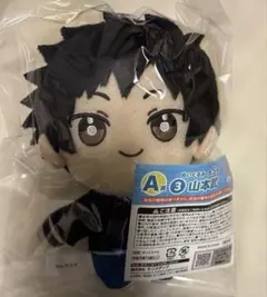 k*h様 【匿名配送】ひこくじ REBORN 山本武 A賞 ぬいぐるみ