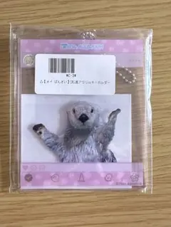 カプくじ 鳥羽水族館 メイちゃん SNS風アクリルキーホルダー（ばんざい) Amazon.co.jp: カプくじ 鳥羽水族館 ラッコのメイちゃん SNS風