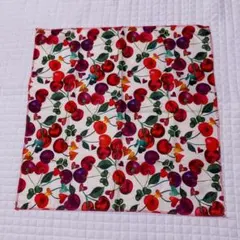 Item thumbnail for item ce2df7f6-d3c5-439c-996e-29211e36c8d3